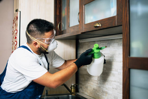 Best Affordable Exterminators  in Hightstown, NJ