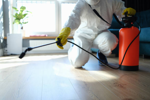 Best Flea Control Services  in Hightstown, NJ