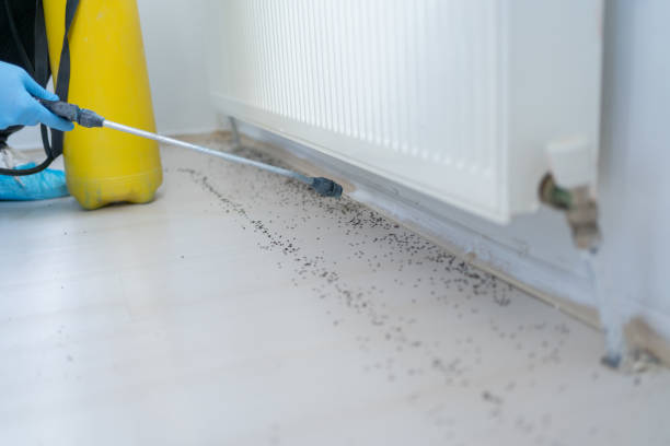 Best Cockroach Control Services  in Hightstown, NJ