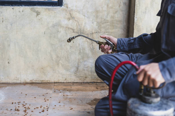 Best Local Pest Control Services  in Hightstown, NJ